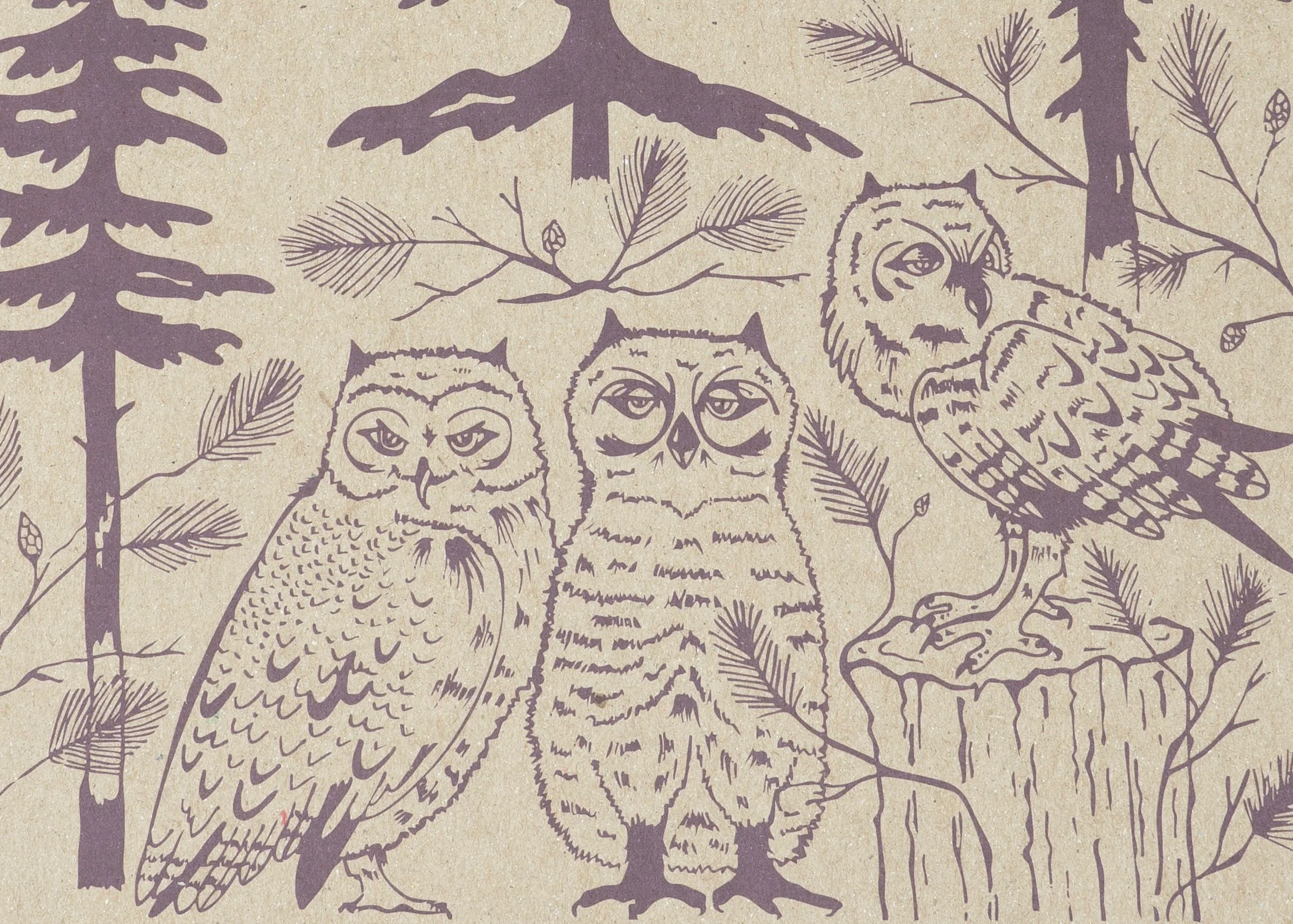 Baby Great Horned Owls Decomposition Book - Image 2