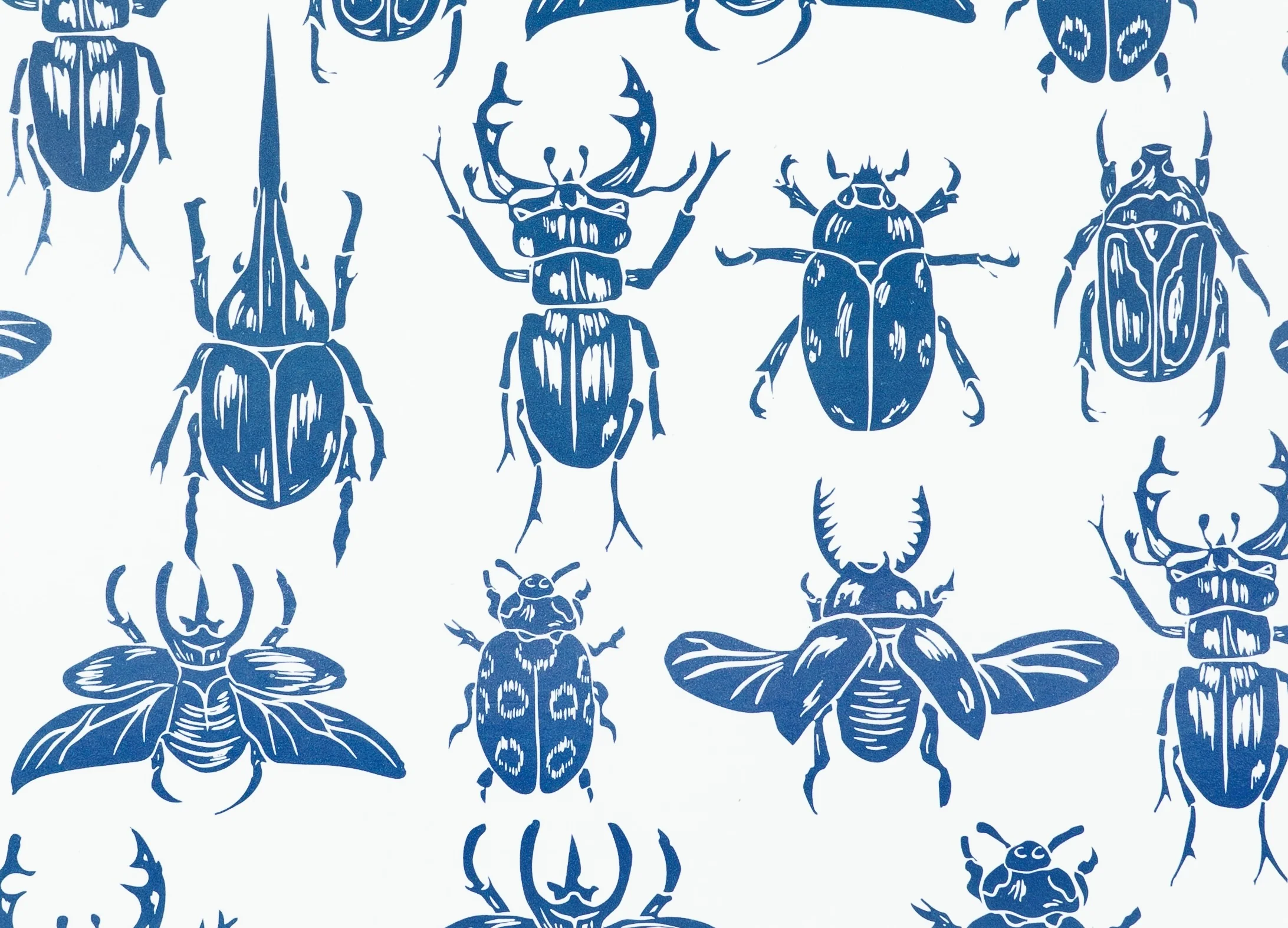Beetles Decomposition Book - Image 2