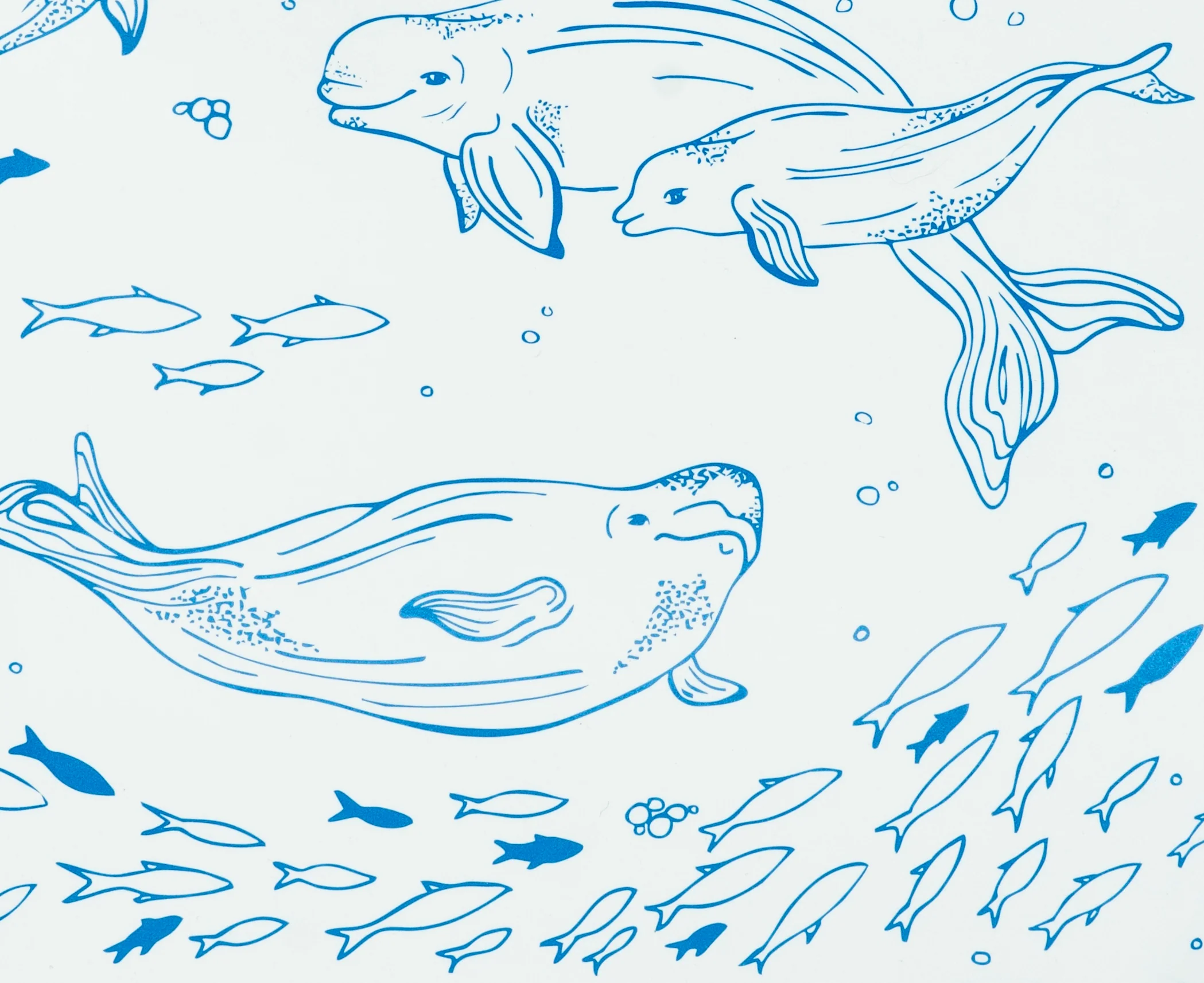 Belugas Decomposition Book - Image 2