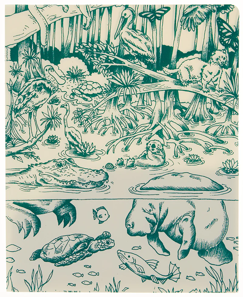 Everglades Decomposition Folder