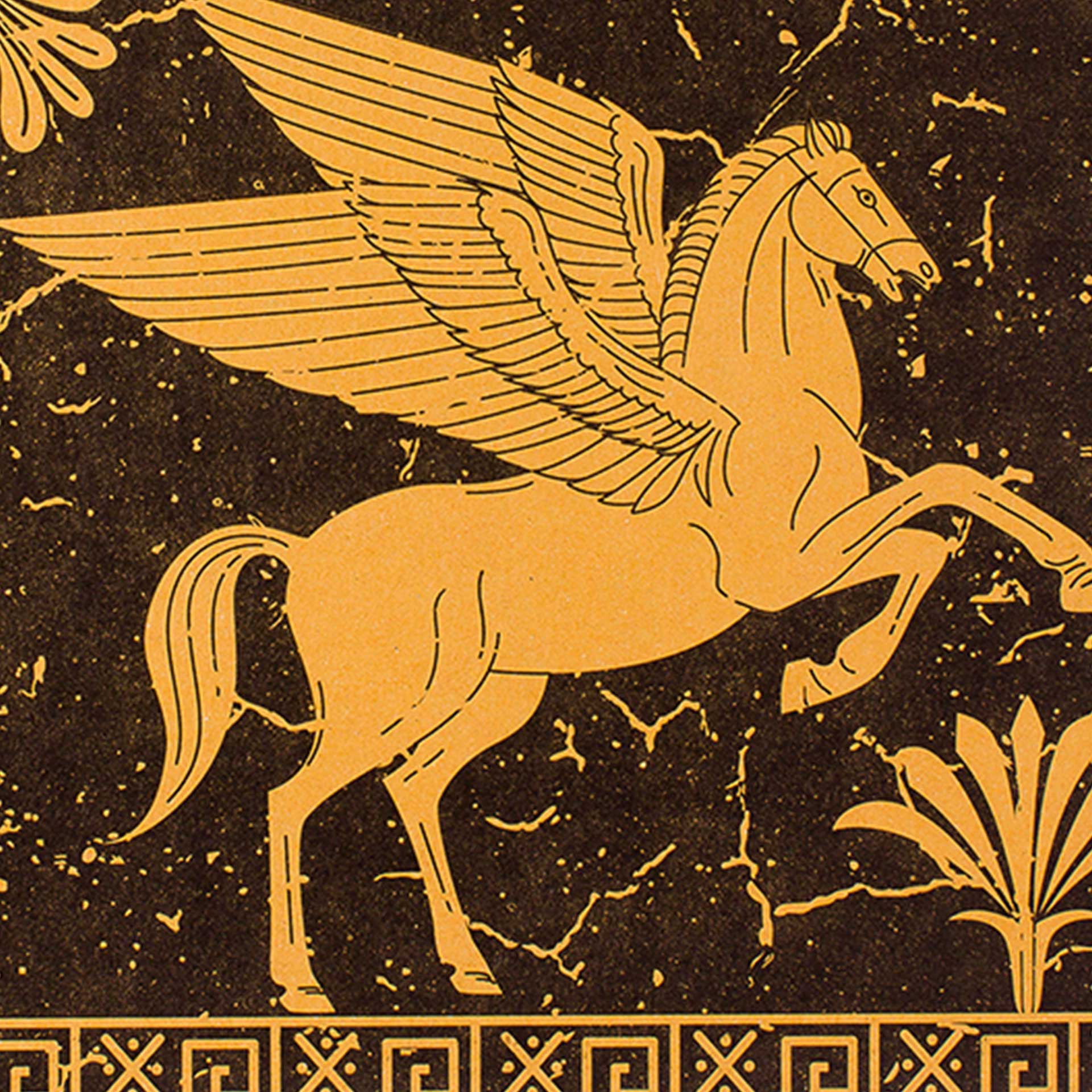 Pegasus Decomposition Book - Image 2
