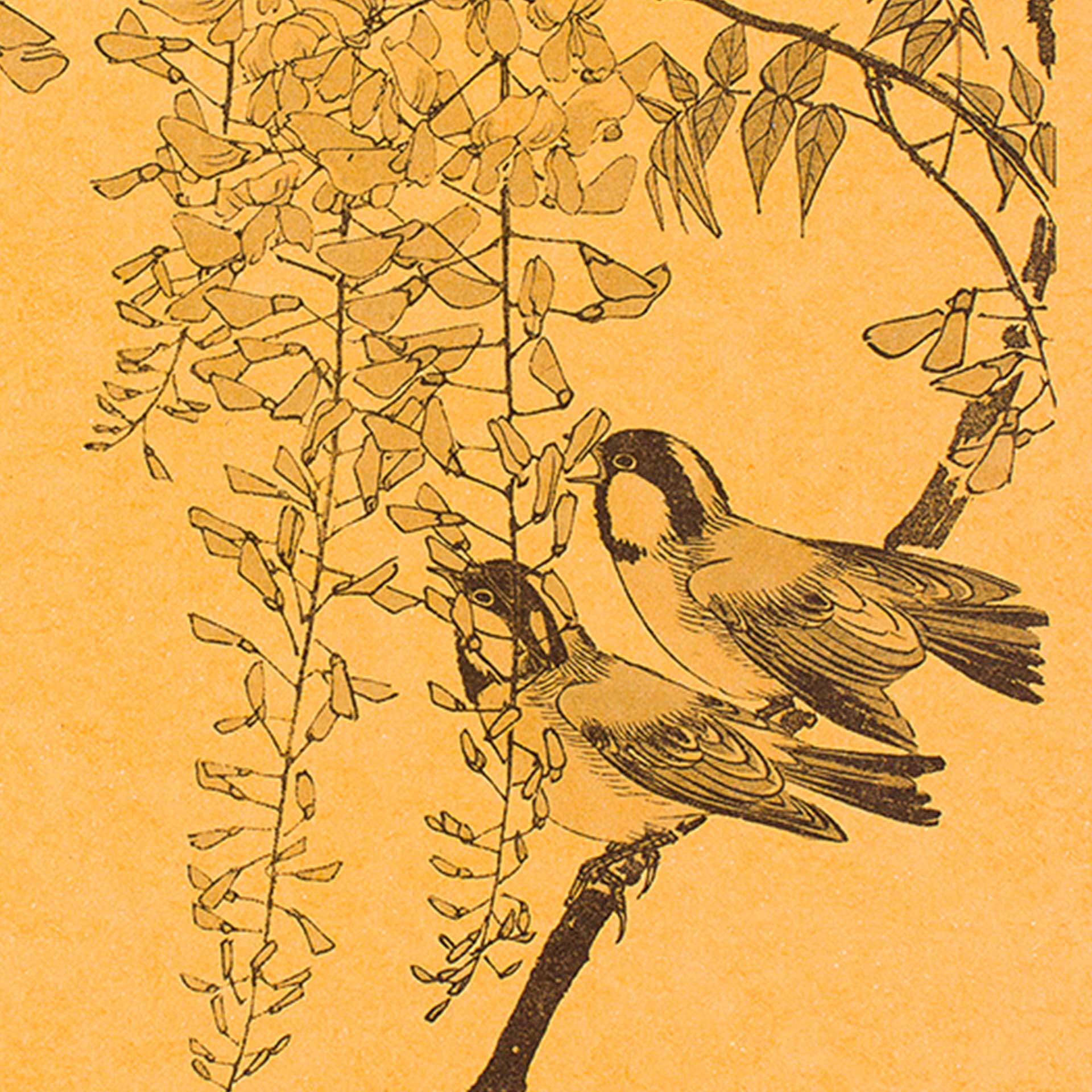 Leafy Perch Decomposition Book - Image 2