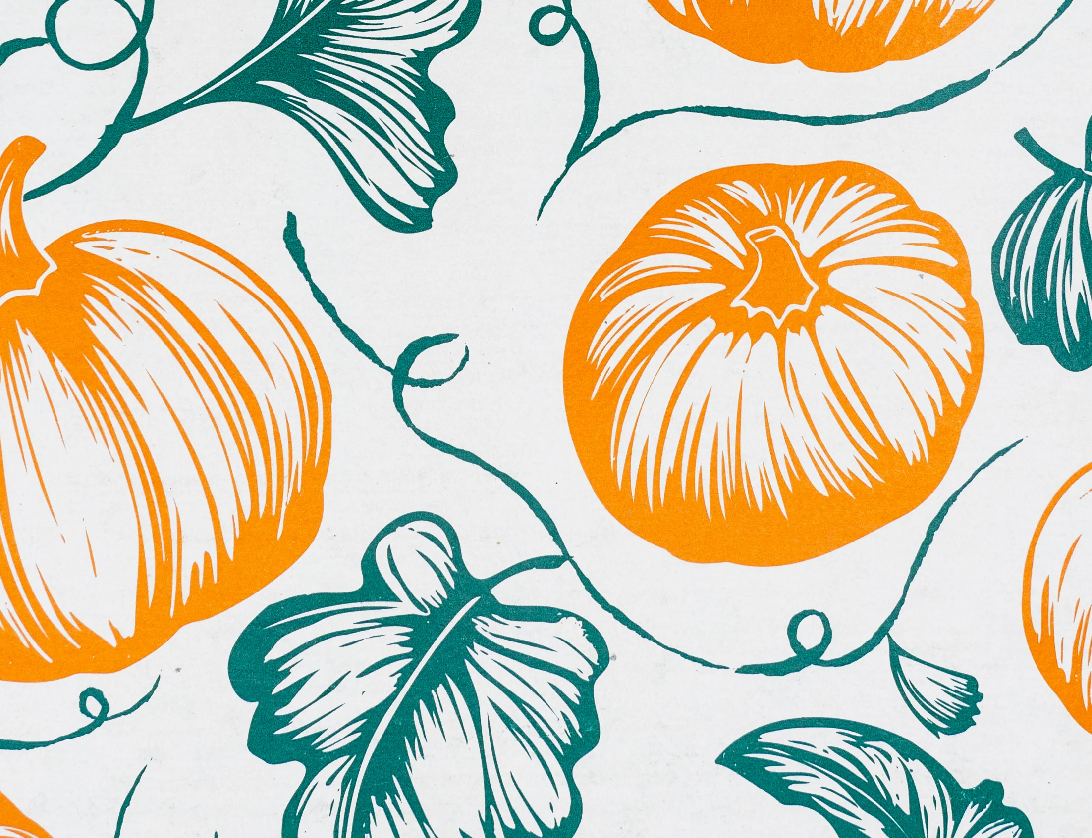 Sugar Pumpkins Decomposition Book (Grid Pages) - Image 2